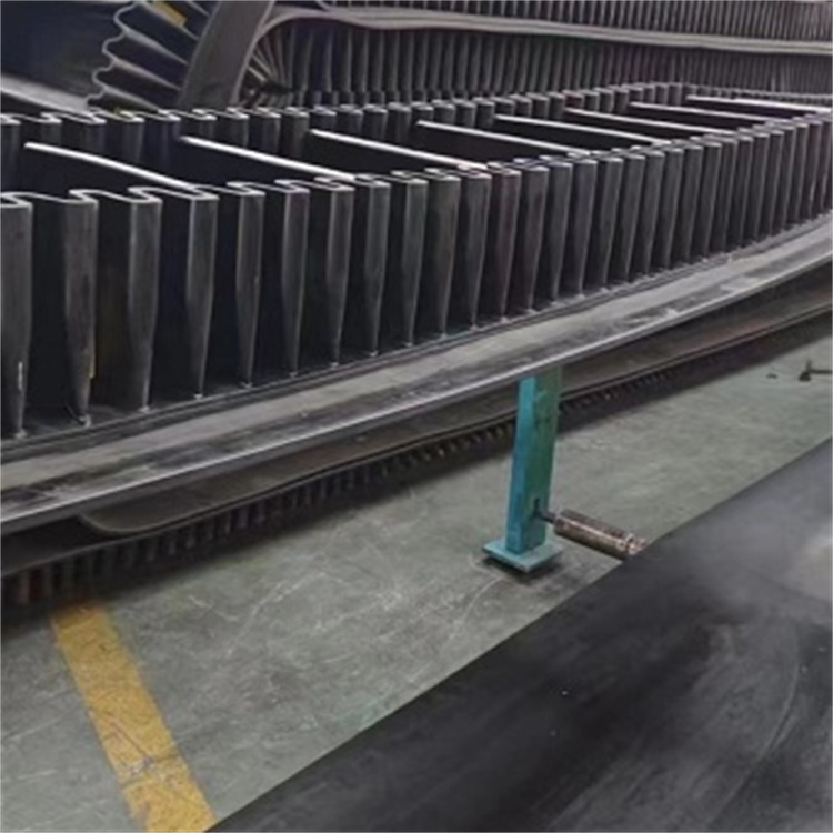 1747982097760622.jpg 大倾角挡边带6.jpg