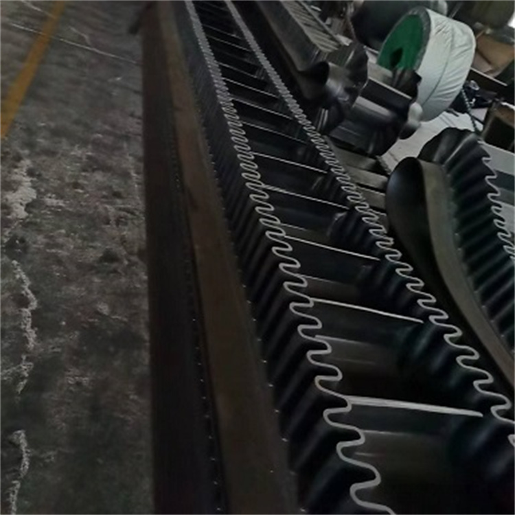 大倾角挡边带3.jpg