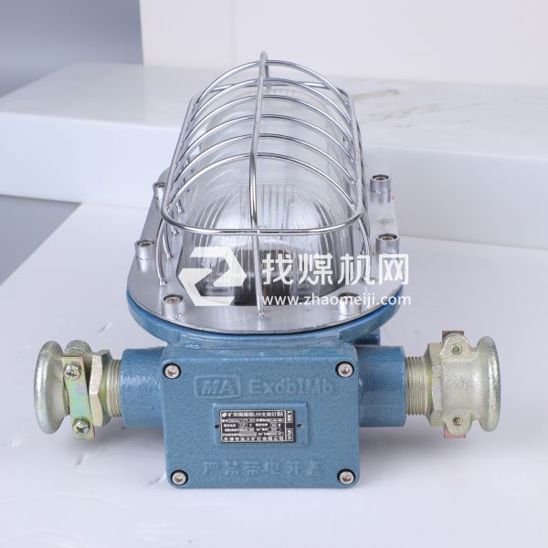 支架灯DGC18-36/127L